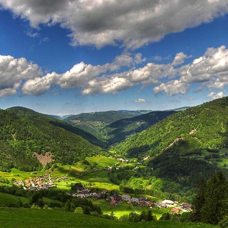 Urlaub Auf 1.000 Meter Hoehe Mit Pool Und Sauna Schönwalde Exterior foto