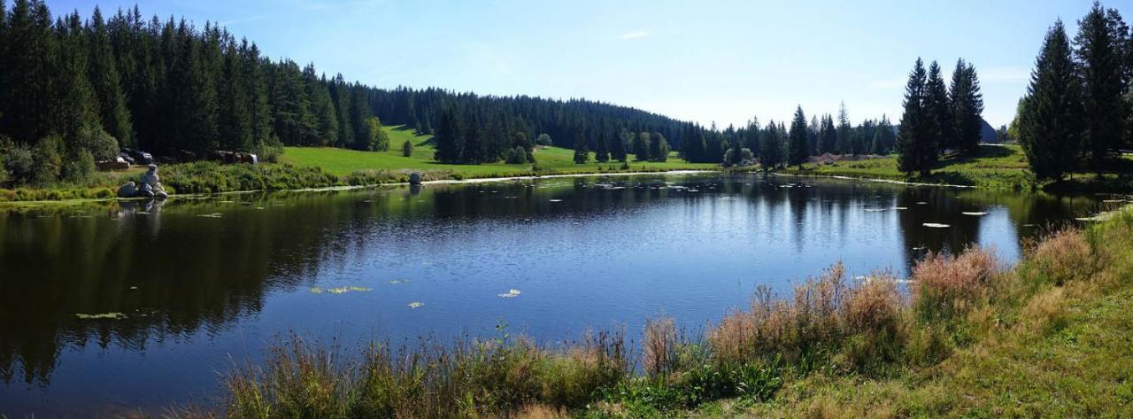 Urlaub Auf 1.000 Meter Hoehe Mit Pool Und Sauna Schönwalde Exterior foto
