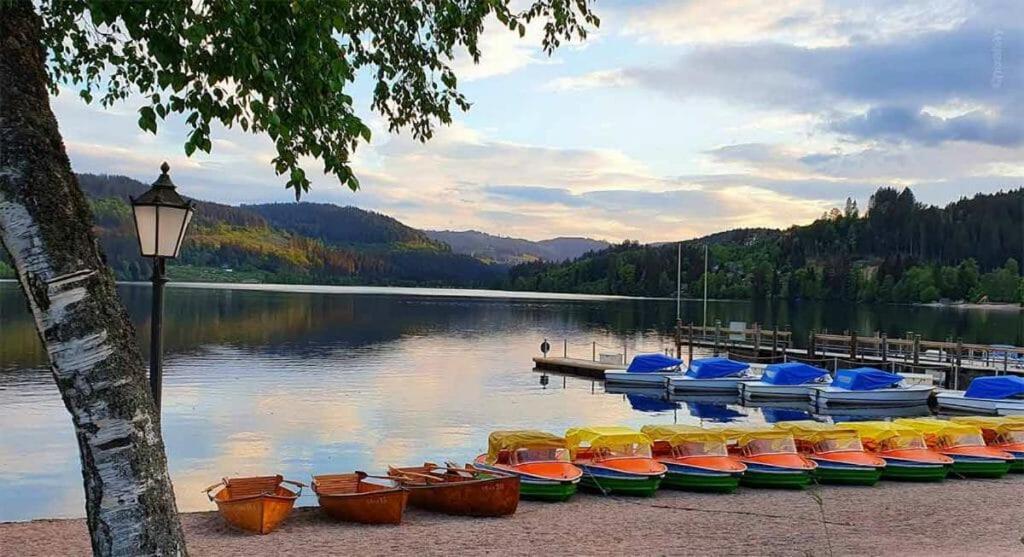 Urlaub Auf 1.000 Meter Hoehe Mit Pool Und Sauna Schönwalde Exterior foto